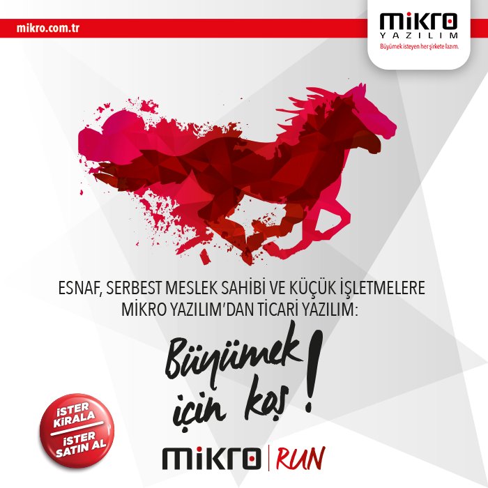 Mikro RUN Yazılım Arayüzü